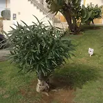 Votre Appartement A Portimao *