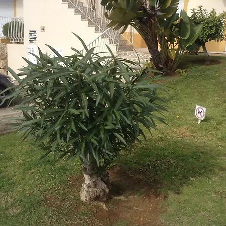 Votre Appartement A Portimao *